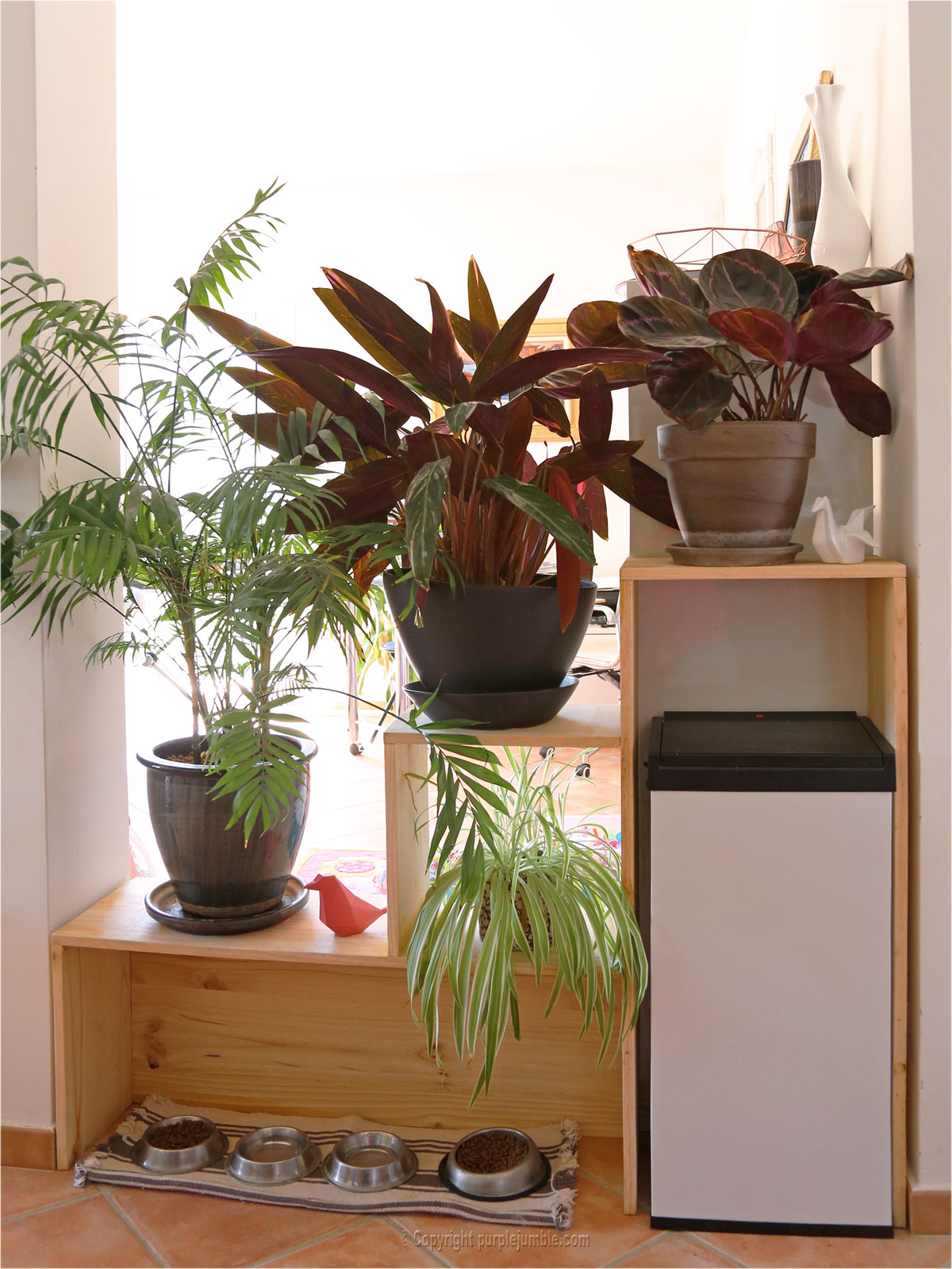 DIY : fabriquer une étagère pour plantes